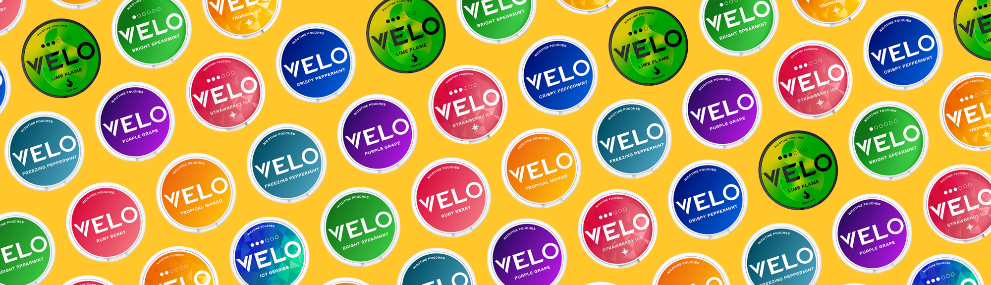 Multiple flavours of Velo nicotine pouches